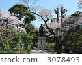 day-to-day saints, Hokekyō temple, ichikawa city 3078495