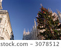 christmas tree, christmas trees, xmas-tree 3078512