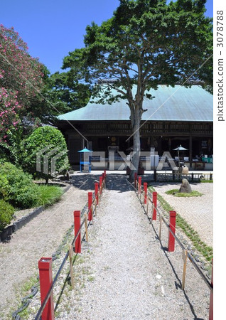 Noma Daimo正廳 Noma Daimo正廳 3078788