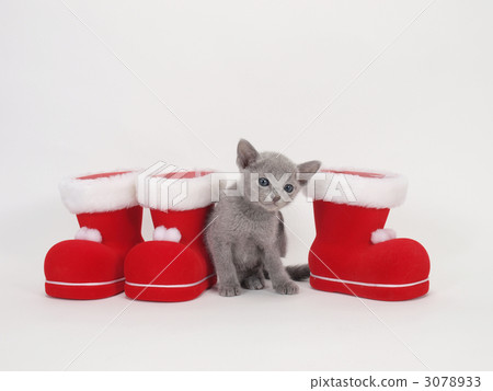 Red boots and kitten Red boots and kitten 3078933