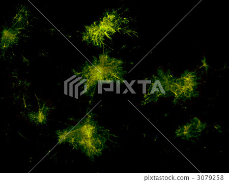 成長形象 成長形象 3079258
