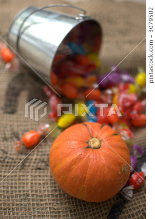 pumpkin pumpkin 3079502