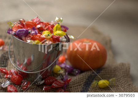 pumpkin pumpkin 3079503