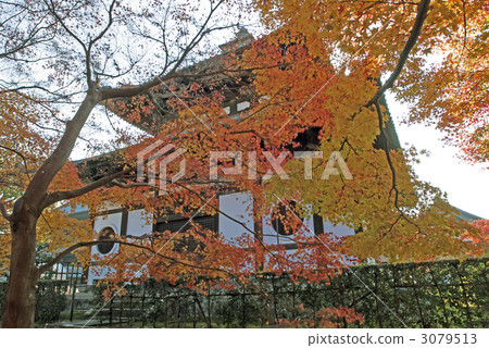 東福寺 東福寺 3079513