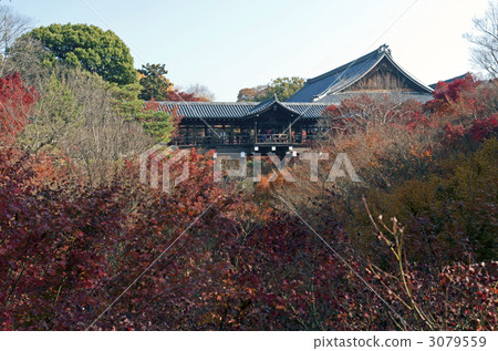 Tofukuji Tonchibashi秋葉 Tofukuji Tonchibashi秋葉 3079559