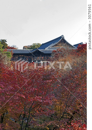 Tofukuji Tonchibashi秋葉 3079561