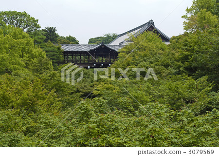 Tofukuji Temple Tsutenbashi 3079569
