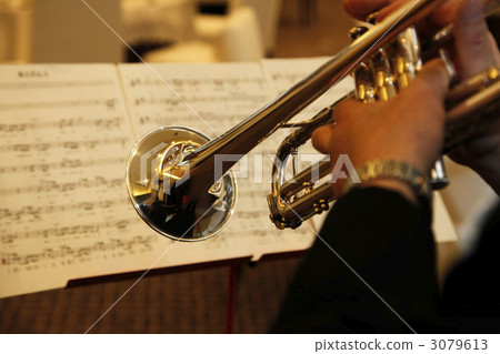 Live trumpet playing 3079613