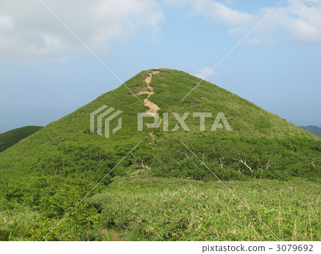 假夏假假峰會 3079692