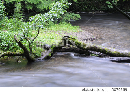 湯川 3079869