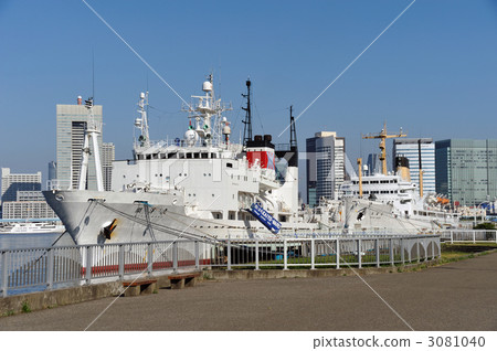 Osamaru Pearl Maru 3081040