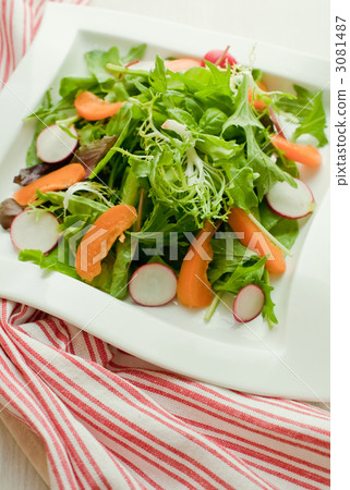 Health salad 3081487