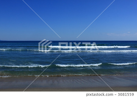 千倉海岸 千倉海岸 3081559