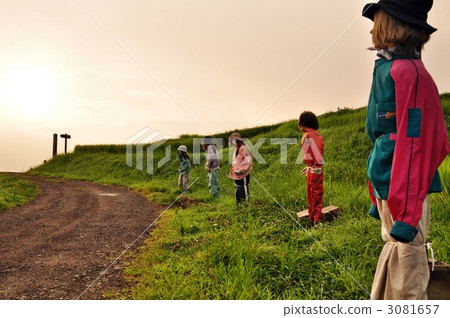 稻草人 有名無實的領袖 田園 3081657