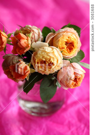 flower, flowers, rose 3081688
