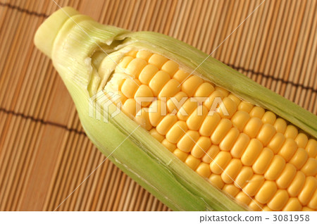 Corn Corn 3081958