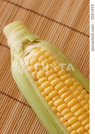 Corn Corn 3081959