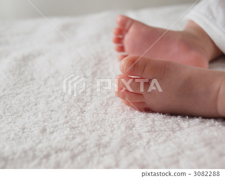 嬰兒雙腿出生後1個半月 3082288