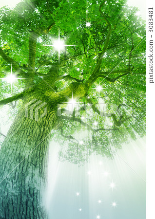 Glittering tree - Stock Illustration [3083481] - PIXTA