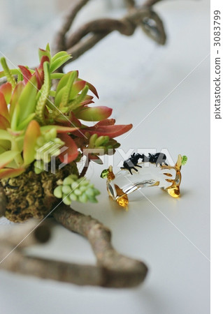 仙人掌 活力 快樂 3083799