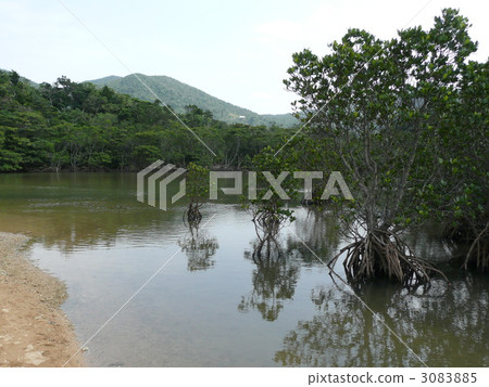Fuki River 3083885