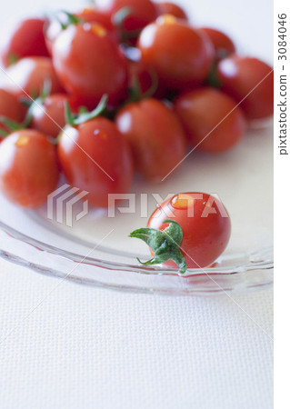 Freshly picked mini tomatoes Freshly picked mini tomatoes 3084046