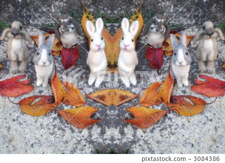 兔子 兔 藝術 3084386