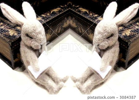 兔子 兔 瞌睡 3084387