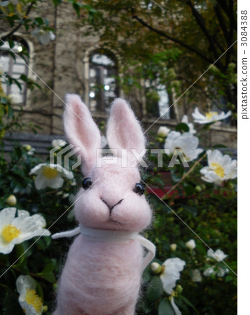 兔子 兔 藝術 3084388
