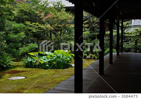 Rima side of the main temple and lotus garden 3084473