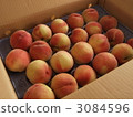 很多桃子 3084596