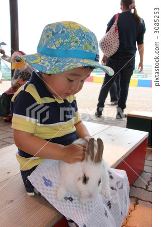 與動物接觸 與動物接觸 3085253