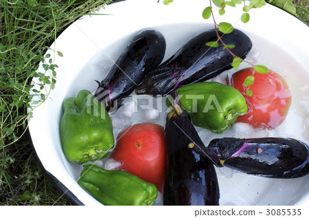 Summer vegetable 3085535