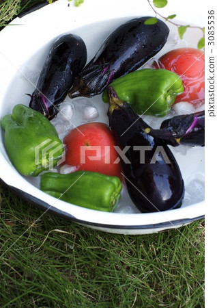 Summer vegetable 3085536