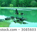 World Heritage Hiraizumi Koshienji 3085603