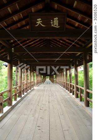 Tofukuji Temple Tsutenbashi 3086520