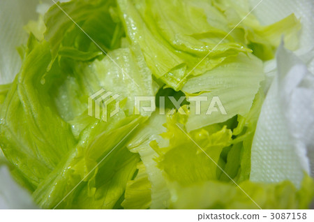 leafy vegetables, leafy greens, domestic produce 3087158