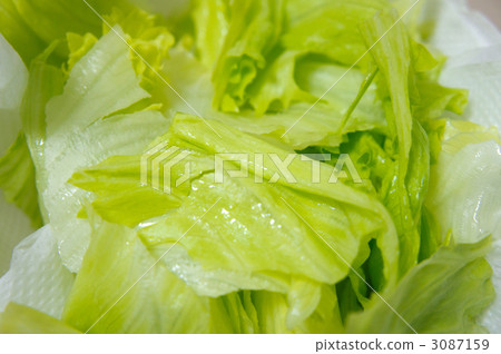 生菜 蔬菜沙拉 國內生產 3087159