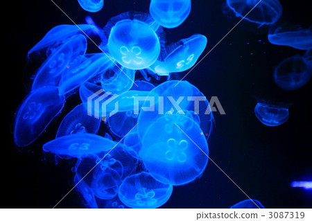 水海洋月亮 3087319