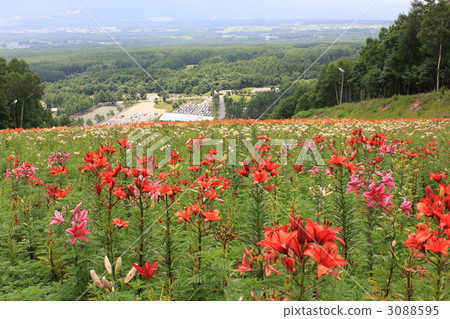 Fujimi Takahara Yuri no Sato Fujimi Takahara Yuri no Sato 3088595