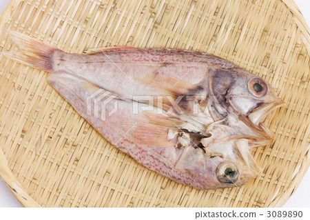 Dried fish bone 3089890