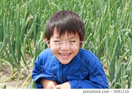 farmwork, cheerful, sunshiny 3091110