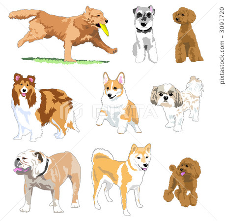 Various dogs Various dogs 3091720