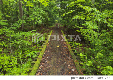 青森雅谷谷 3091748