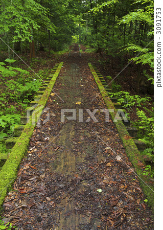 青森雅谷谷 3091753