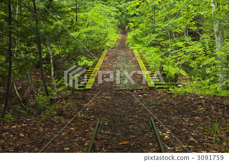 青森雅谷谷 3091759