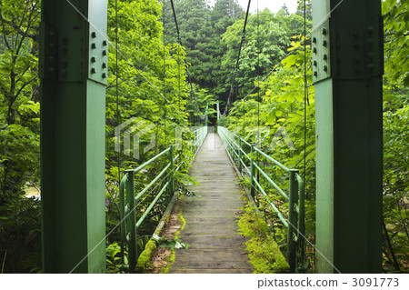 青森雅谷谷 3091773