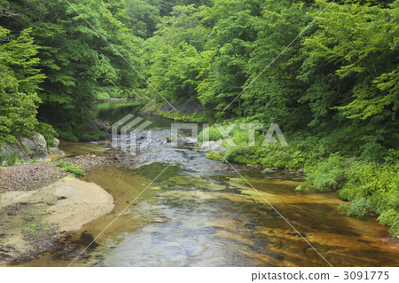 青森雅谷谷 青森雅谷谷 3091775