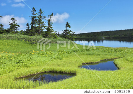 岩手八幡平Yawata-numa 岩手八幡平Yawata-numa 3091839