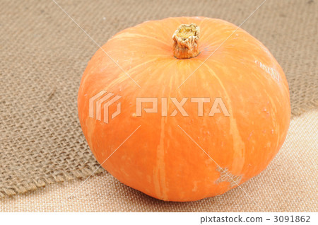 pumpkin pumpkin 3091862